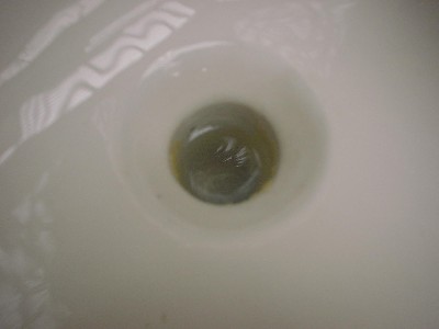 トイレお掃除指導