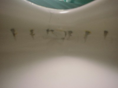 トイレお掃除指導