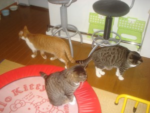 別々の道へ・・ 別々の道へ・・